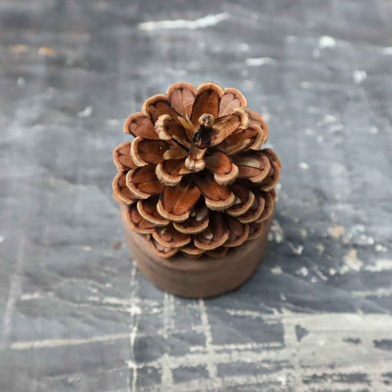 Pinecone Wooden Essential Oil Diffuser